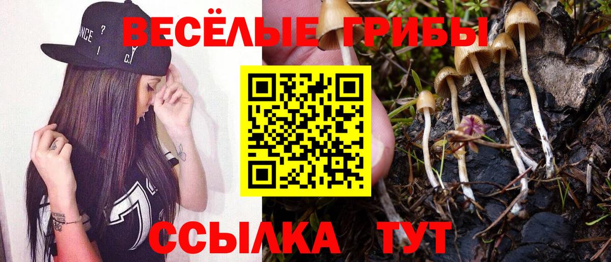 Псилоцибиновые грибы GOLDEN TEACHER Зеленокумск