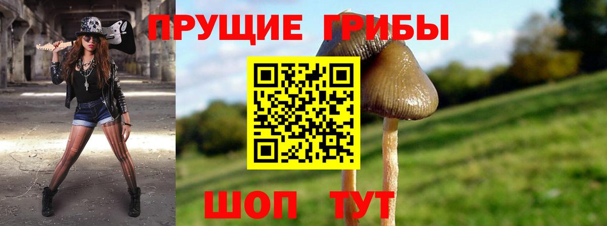 Галлюциногенные грибы Magic Shrooms  Вход с VPN  Галлюциногенные грибы ЛСД  Зеленокумск 
